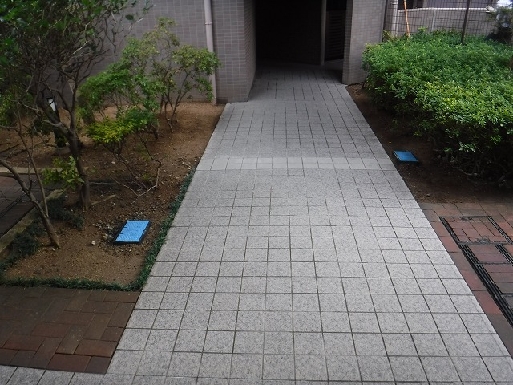 給水管改修に伴うタイル5